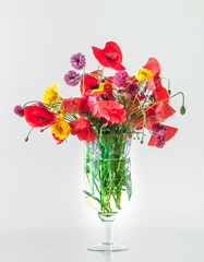 A Bouquet of Field Poppies Flowers in a Glass Vase.
