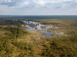 drone image. aerial view of swamp lake