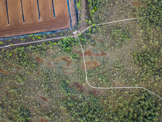 drone image. aerial view of cultivated turf fields in the swamp