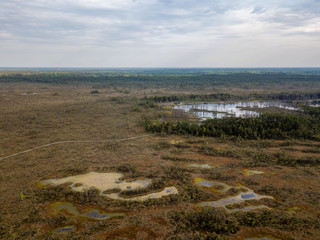 drone image. aerial view of swamp lake
