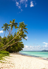 Idyllic scenery of sandy beach in the Seychelles