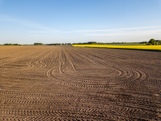 drone image. aerial view of rural area with cultivated fields of rape seed