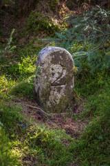 Old Moss Covered Stone with the Number Two 2 Inscribed