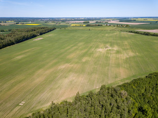 drone image. aerial view of rural area with fields and forests