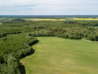 drone image. aerial view of rural area with fields and forests