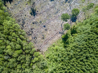 drone image. aerial view of rural area with fields and forests