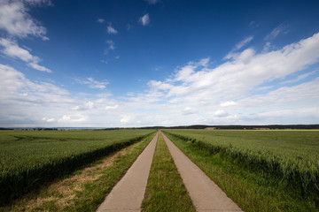 Fototapeta na wymiar Betonierter Feldweg führt durch das Getreidefeld mit blauen Himmel und Wolken