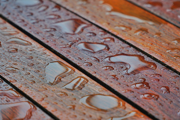 Water drops on a wooden floor surface.Drop of water on wood with raindrop after a rain with copy...