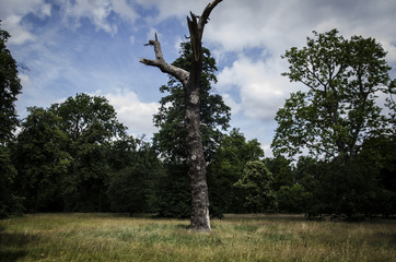 Londra