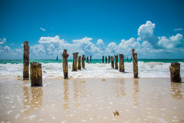 Old Piers on Beach