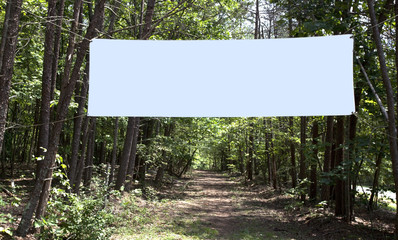 Empty information banner stretched across forest trail. Copy Space.
