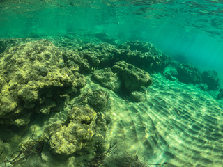 Unterwasserwelten