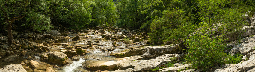 panorama d'une rivière sauvage entourée de rocher et de végétation luxuriante 