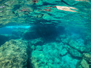 Fototapeta na wymiar Unterwasserwelten