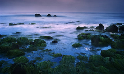 Tide Pools, Malibu
