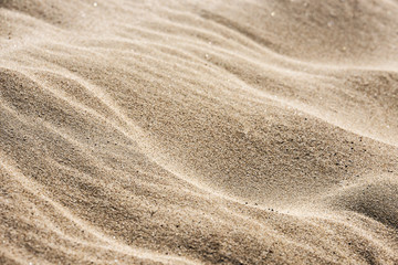 Fototapeta na wymiar Fine beach sand