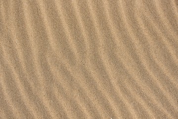 Fototapeta na wymiar Fine beach sand
