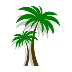 Obraz premium Palm tree vector