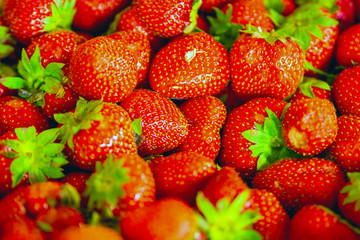 Strawberry. Fresh organic berries macro.