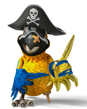 pirate parrot cartoon