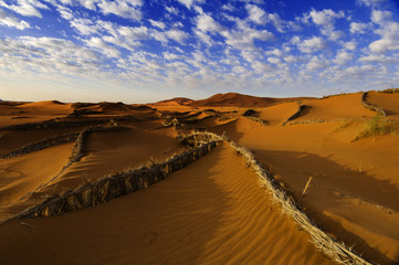 Sand dunes Sahara