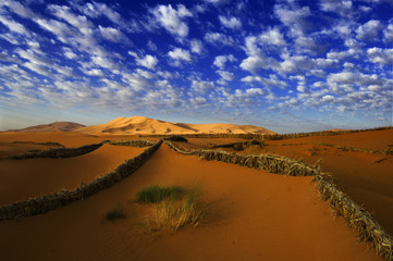 Fototapeta na wymiar Sand dunes Sahara
