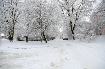 Winter landscape with snow