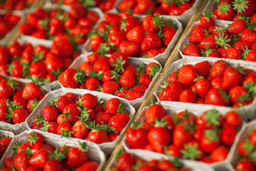 fresh strawberries in boxes at the weekly market, close-up can be used as background  - obrazy, fototapety, plakaty