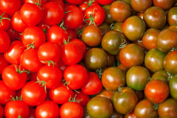 fresh, bright red and green tomatoes at the weekly market, can be used as background  - obrazy, fototapety, plakaty