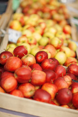 fresh delicious red and yellow apples, in the weekly market, can be used as background