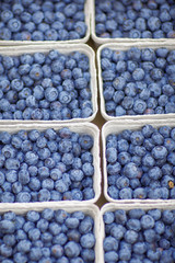 fresh delicious blueberries, at the weekly market, can be used as background - obrazy, fototapety, plakaty