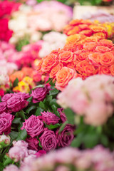 beautiful fresh colorful flowers at the weekly market, can be used as background - obrazy, fototapety, plakaty