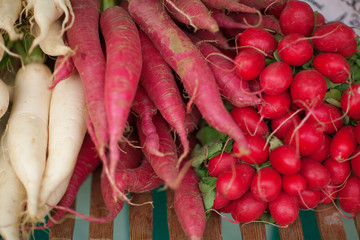 fresh root vegetables at the weekly market, can be used as background  - obrazy, fototapety, plakaty