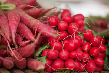 fresh root vegetables at the weekly market, can be used as background  - obrazy, fototapety, plakaty