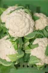 fresh cauliflower at the weekly market, can be used as background - obrazy, fototapety, plakaty