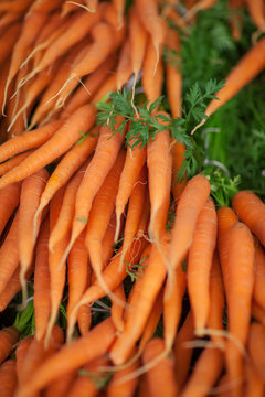 fresh, crunchy carrots at the weekly market, can be used as background