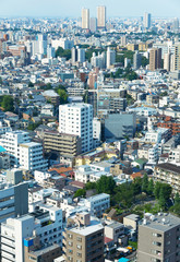 Fototapeta premium 東京の風景