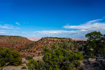 I captured this image between the Flint Trail and the Golden Stairs area of the Maze District of the Canyonlands National Park in Utah.
