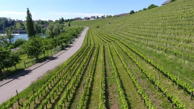 Rheinau - Switzerland