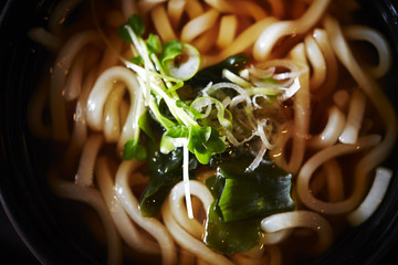 Japanese udon noodle 