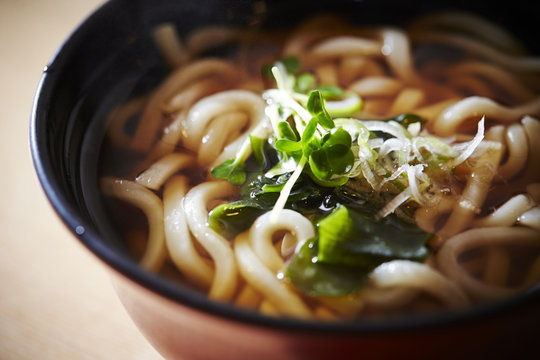 Japanese udon noodle 