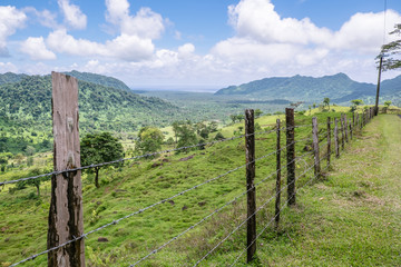 Fototapeta na wymiar View over landscape of hills and fields on central Upolu Island, Samoa, South Pacific