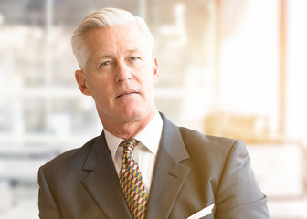 Senior businessman in his office