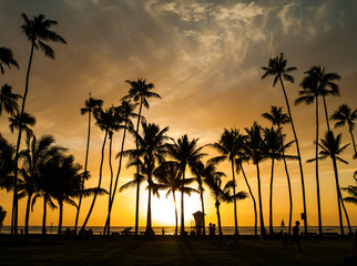 夕焼け、人とヤシの木のシルエット © Yusuke Okada