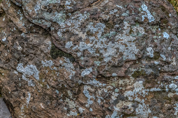 Close up of Rock