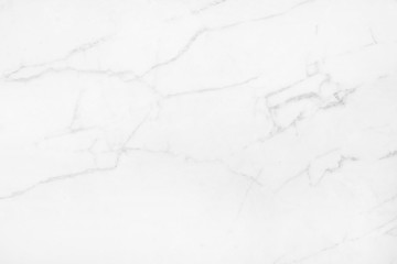 Abstract white marble background with natural motifs.