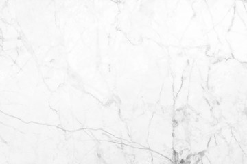 Fototapeta premium Abstract white marble background with natural motifs.
