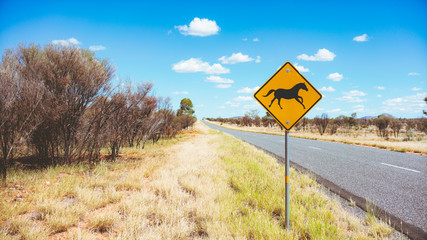 Wild Horses Traffic Sign in Australia Outback Northern Territory