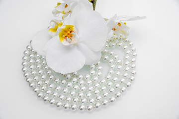 Fototapeta na wymiar pearl and white orchid on a white glass 