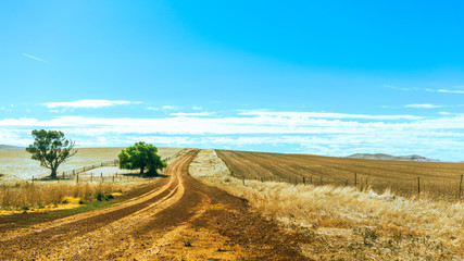 Fototapeta na wymiar Country outside of Burra, South Australia